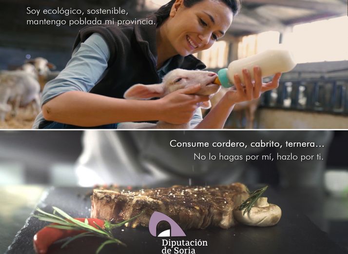 Una imagen de la campaña. 