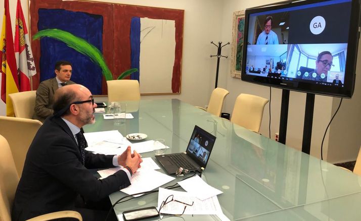 El consejero, en la videoconferencia establecida este jueves. /Jta. 