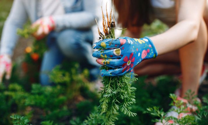 En el Día de la Ganadería Familiar, UPA considera que la sociedad al fin se ha percatado de que somos imprescindibles