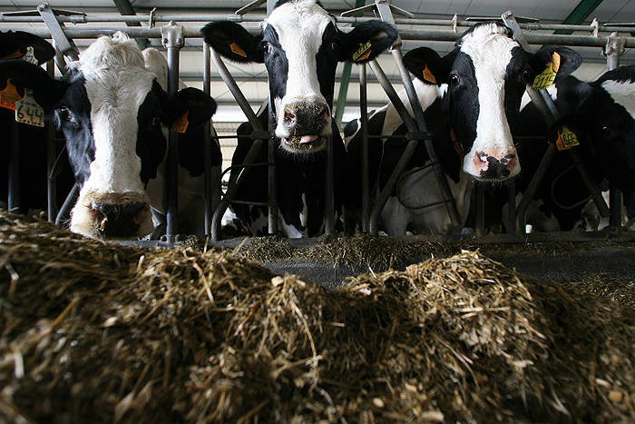 IU insiste en la necesidad de conseguir la soberanía alimentaria en CyL