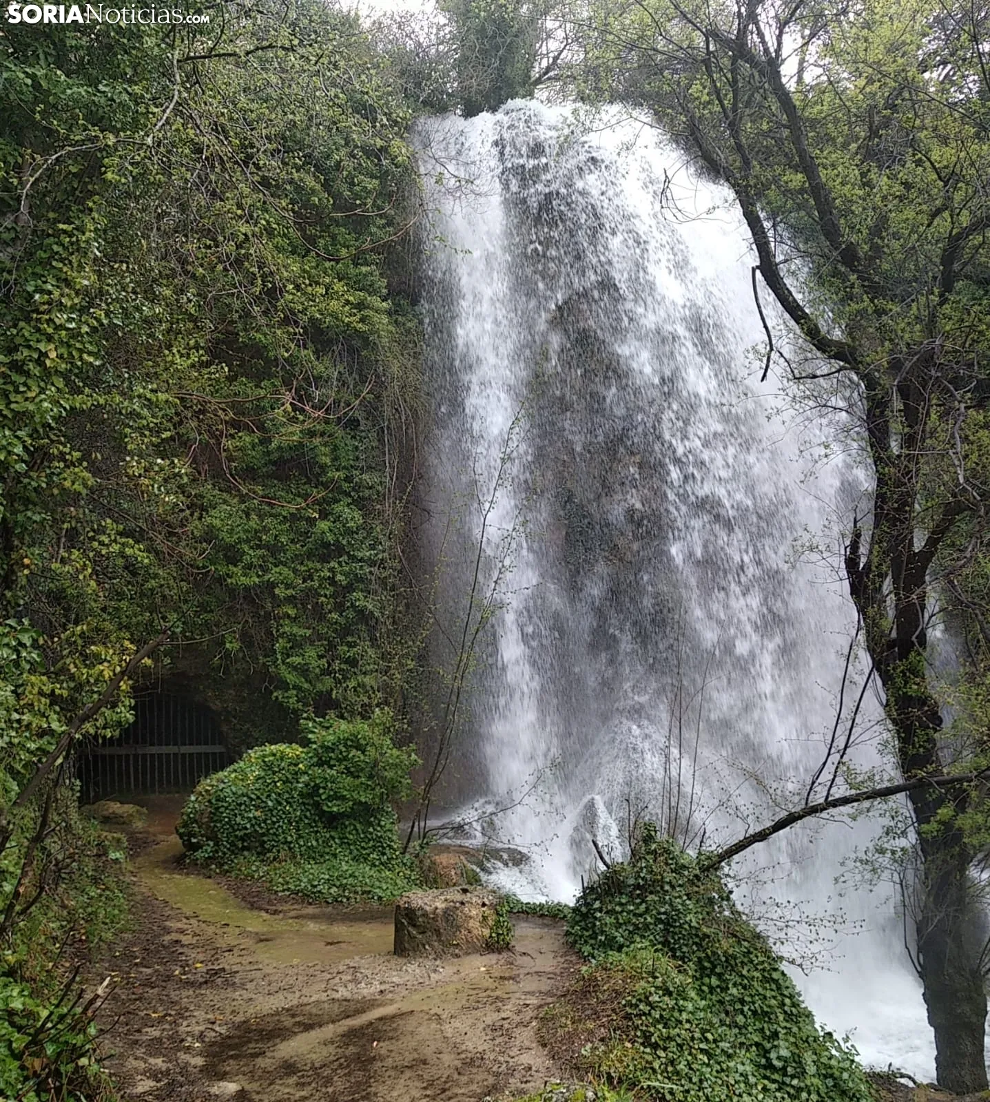 Foto 11 - Espectaculares im&aacute;genes de la cascada de La Toba