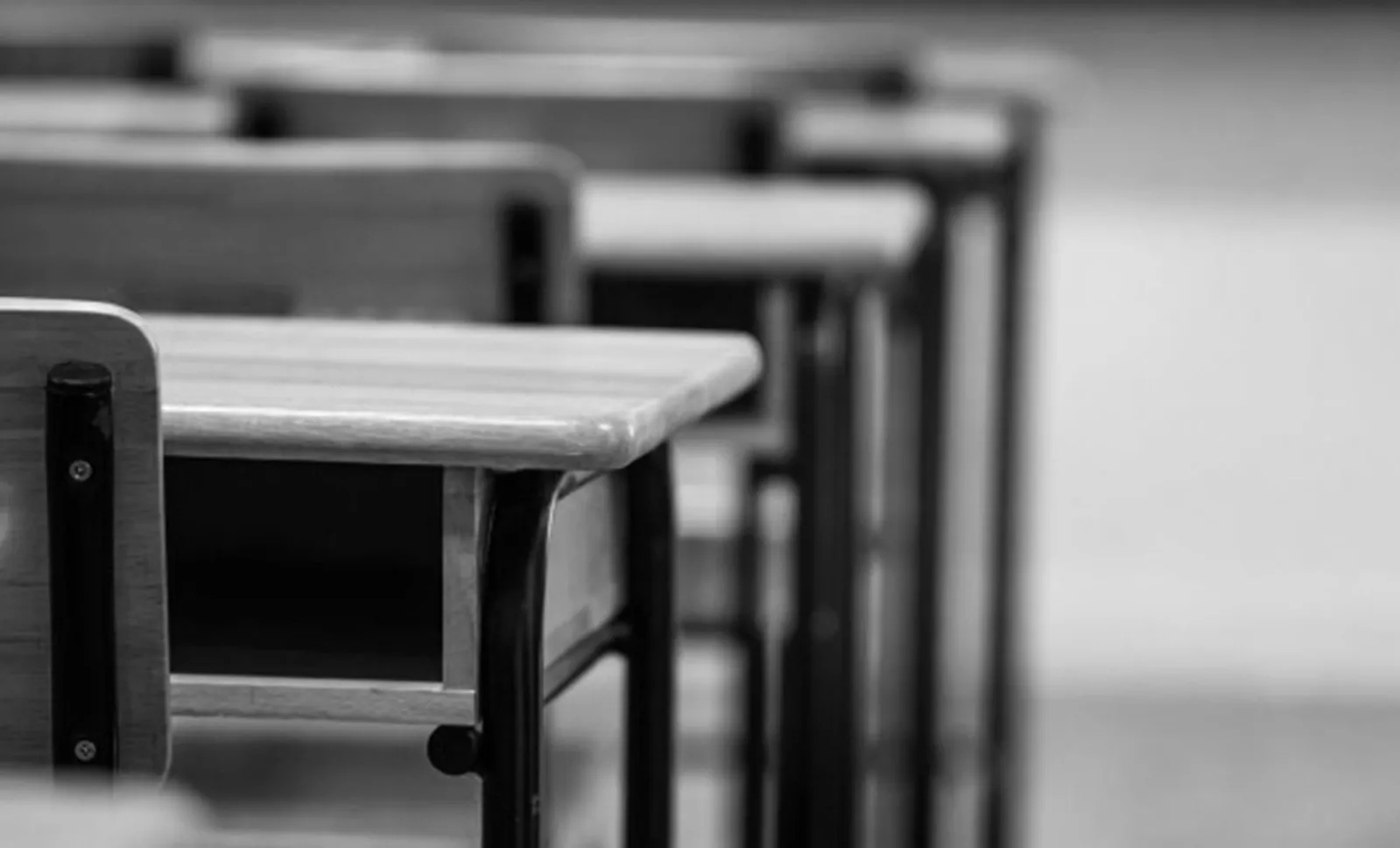 Foto 2 - Reclaman una reforma educativa sin prisas y la vuelta a las aulas con plenas garant&iacute;as y medidas claras