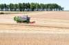 Foto 1 - Castilla y León recibirá 31M&euro; para programas agrícolas, ganaderos y de desarrollo rural
