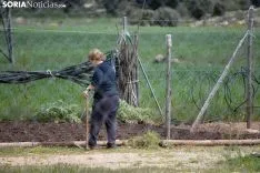 Alivio del confinamiento en Golmayo. /EM