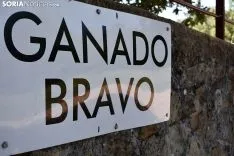 Desencajonamiento 2020.