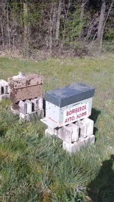 Actuación de los Bomberos de Soria.