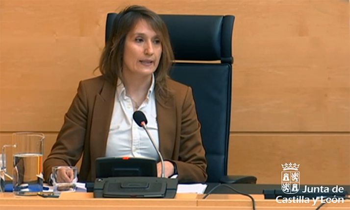 La consejera de Educación en su comparecencia parlamentaria este viernes. 