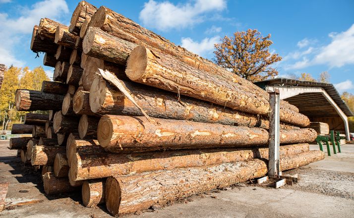 La Junta licita en Soria 23 lotes de madera valorados en más de 1 M&euro;
