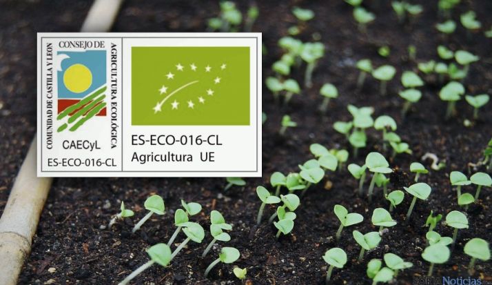 La superficie destinada a producción ecológica crece un 18 % en Castilla y León