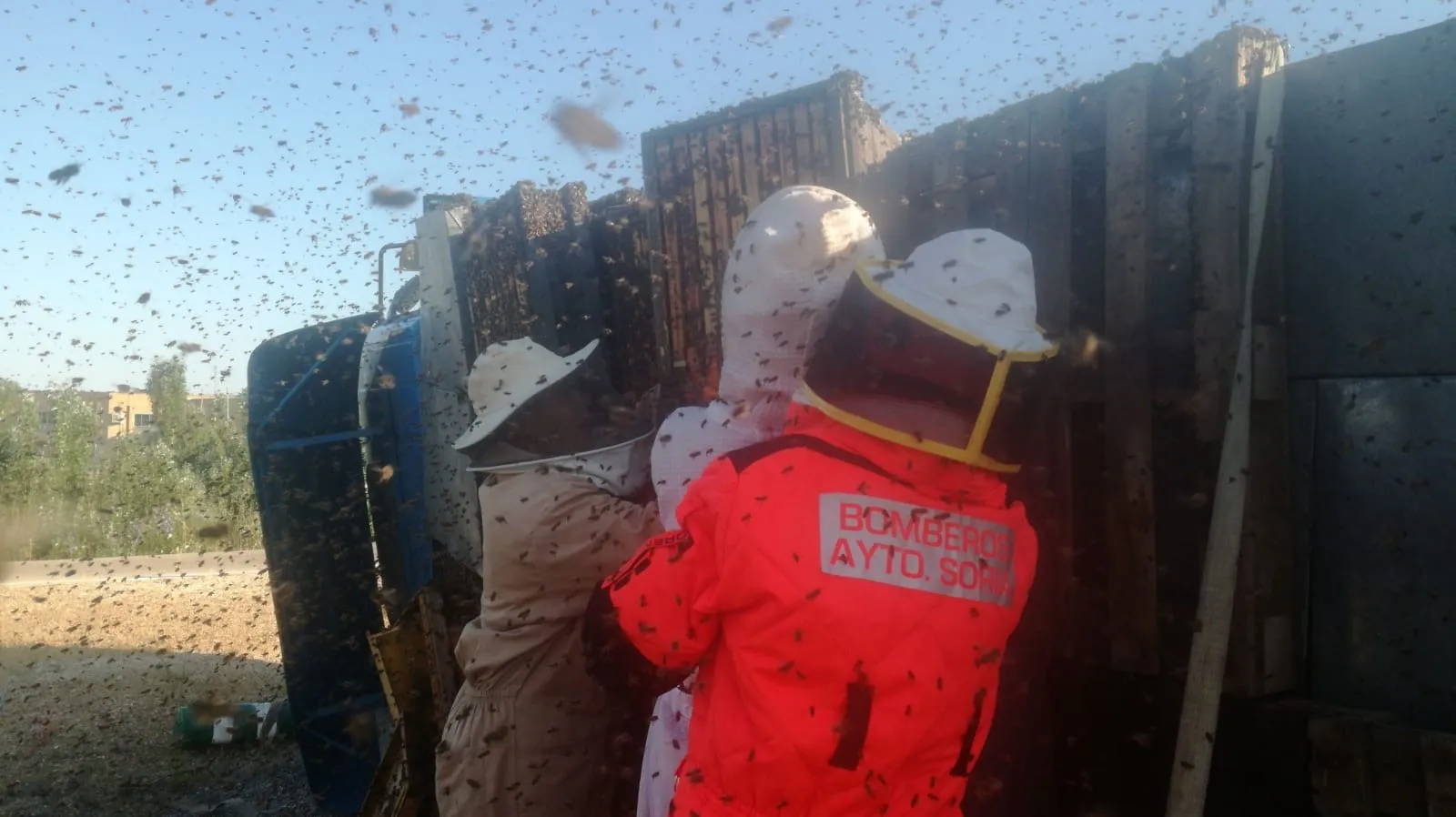 Las abejas se comportan de modo agresivo con el calor y tras el impacto.