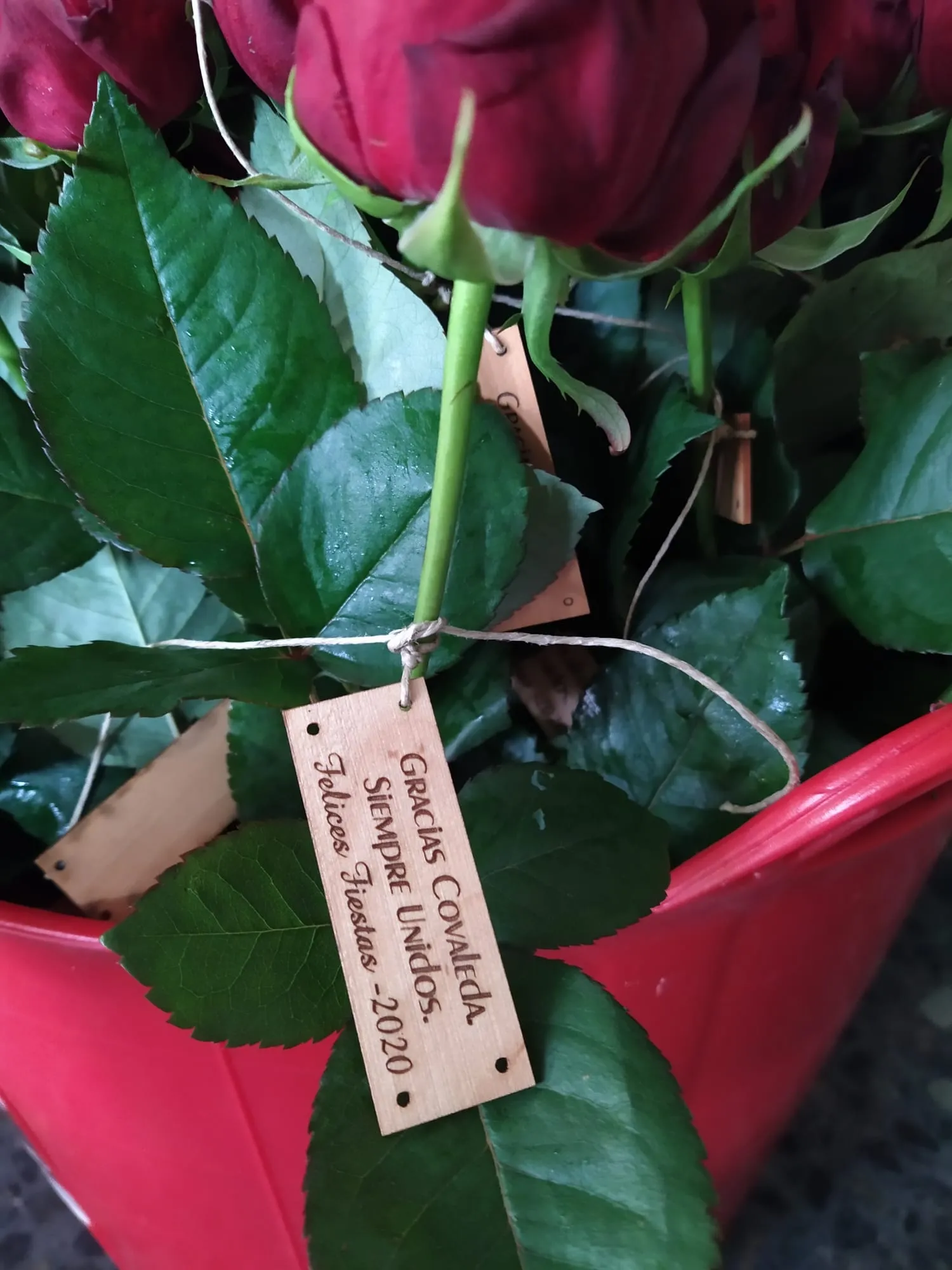Preparación de las rosas en Covaleda.