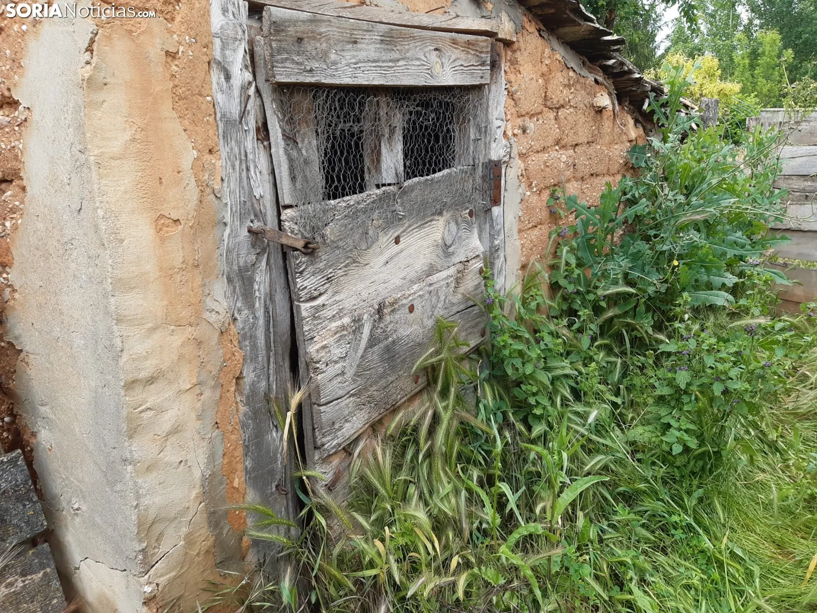 La naturaleza se ha adueñado de los pueblos sorianos.