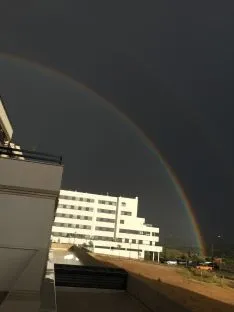 Una imagen del cielo este viernes por gentileza de Carolina Gaviria. 