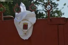 Una imagen del ambiente este Jueves la Saca. /SN