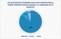 Uno de los gráficos del sondeo. /FOES