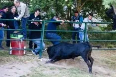 Foto 38 - Galer&iacute;a para recordar: as&iacute; fue el Lavalenguas de 2019