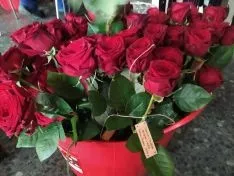 Preparación de las rosas en Covaleda.