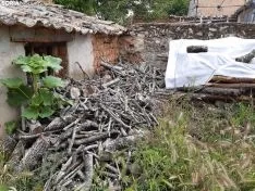 La naturaleza se ha adueñado de los pueblos sorianos.