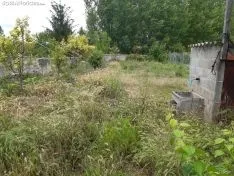 La naturaleza se ha adueñado de los pueblos sorianos.