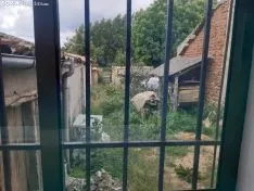 La naturaleza se ha adueñado de los pueblos sorianos.