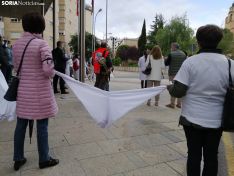 Una imagen de la concentración de este sábado en la sede de la Junta en Soria. /SN