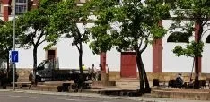 Foto 3 - Vuelven las pintadas antitaurinas el d&iacute;a despu&eacute;s de su limpieza