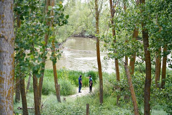 Lugar de la búsqueda /Foto Ical