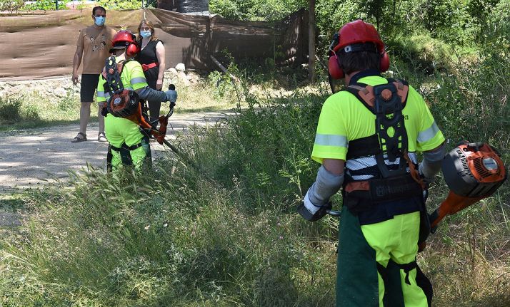 Miembros de las brigadas en labores de desbroce en Almenar. /Dip.