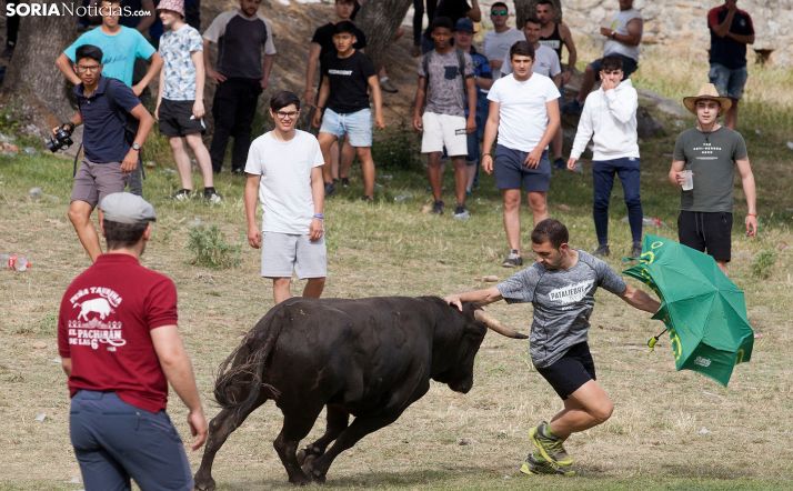 FOTOS: Un día de Compra para recordar otras Compras