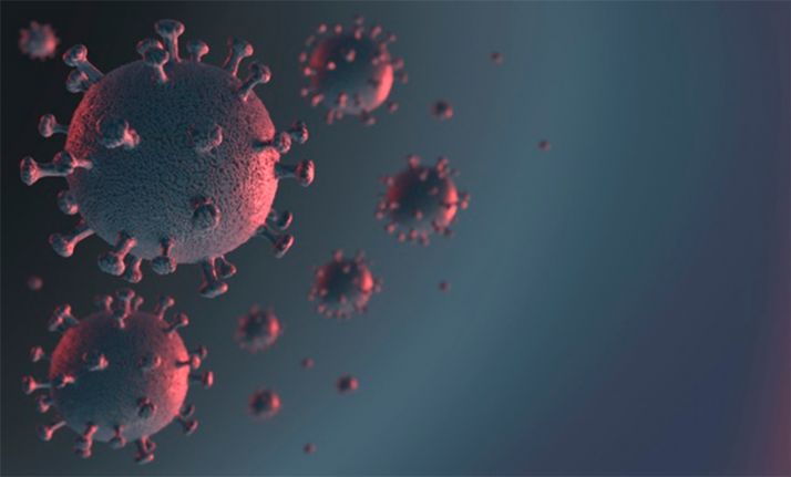 Vox Soria tilda de irresponsable no aplicar los protocolos en la llegada de infectados a la capital