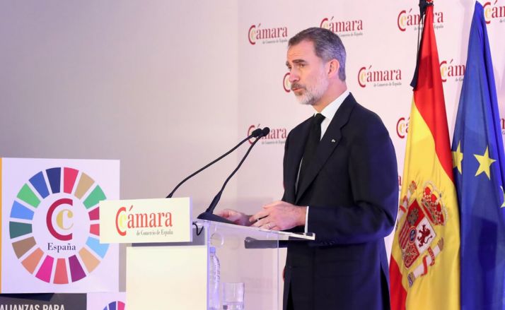 S.M. el Rey, durante su intervención en la sesión plenaria. /CCS