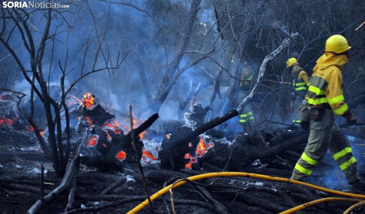 El operativo regional de lucha contra incendios forestales se adapta a las condiciones de seguridad impuestas por el virus 
