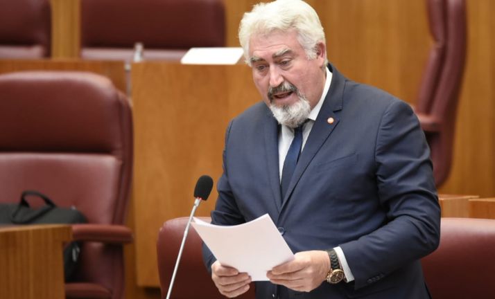 José Ignacio Delgado, en su intervención parlamentaria hoy. /Cs
