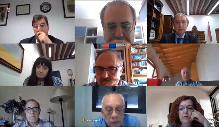 Videoconferencia del Consejo de Gobierno de la UVa este jueves. 