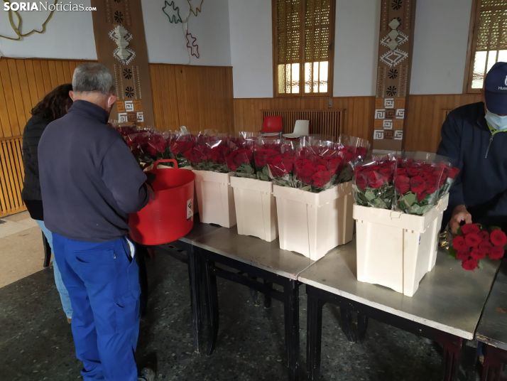 Preparación de las rosas en Covaleda.