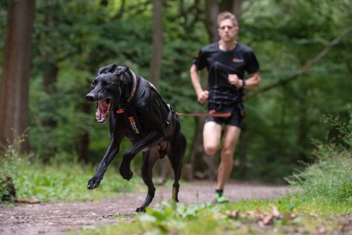 El Mushing Ólvega promueve la primera carrera mundial virtual de la disciplina