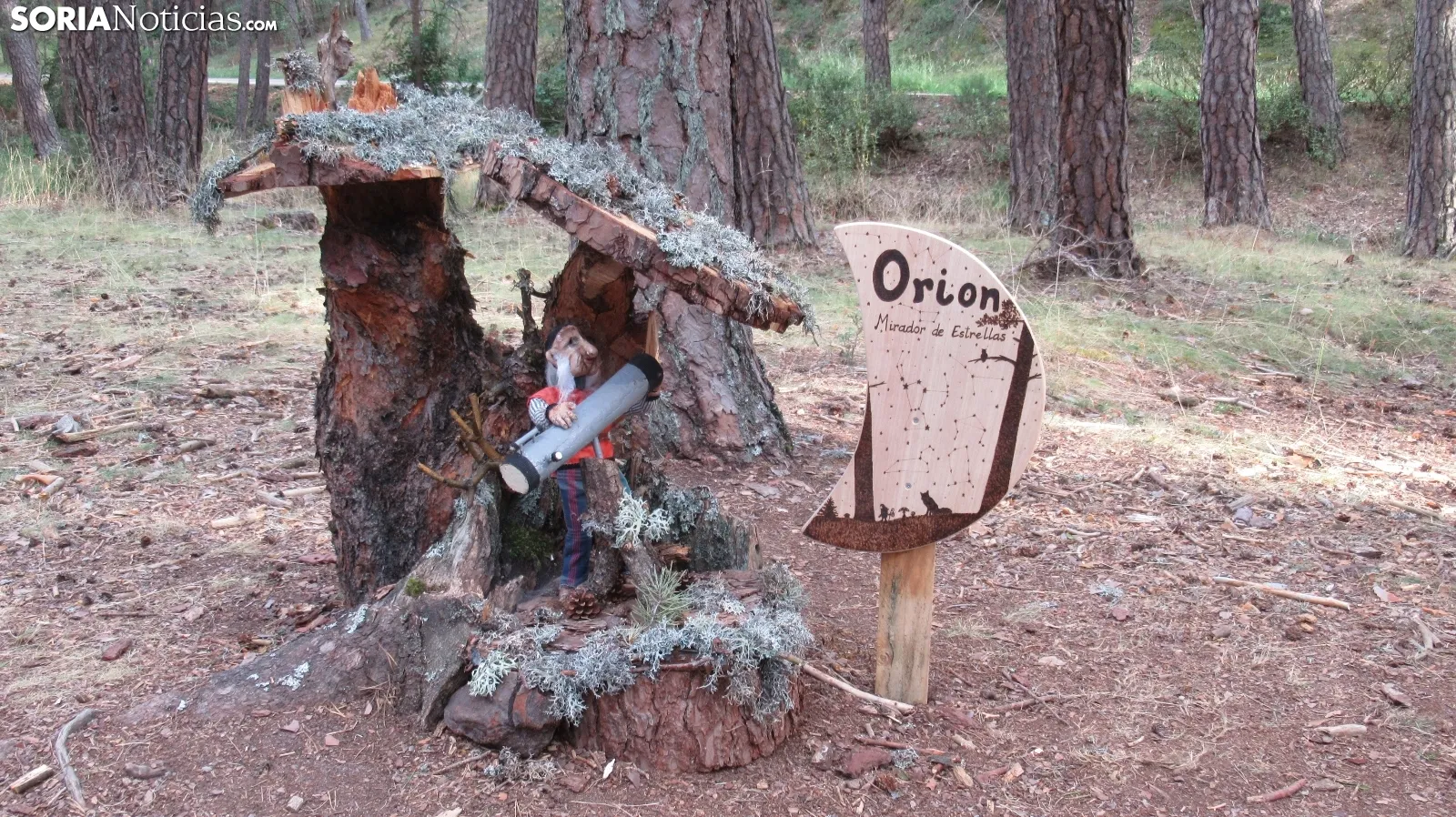 El bosque mágico de Fuente del Pino donde habitan hadas, gnomos y