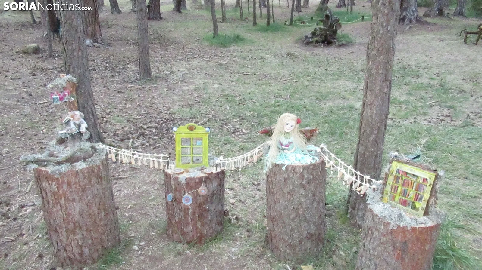 Bosque mágico de San Leonardo de Yagüe. A.G.