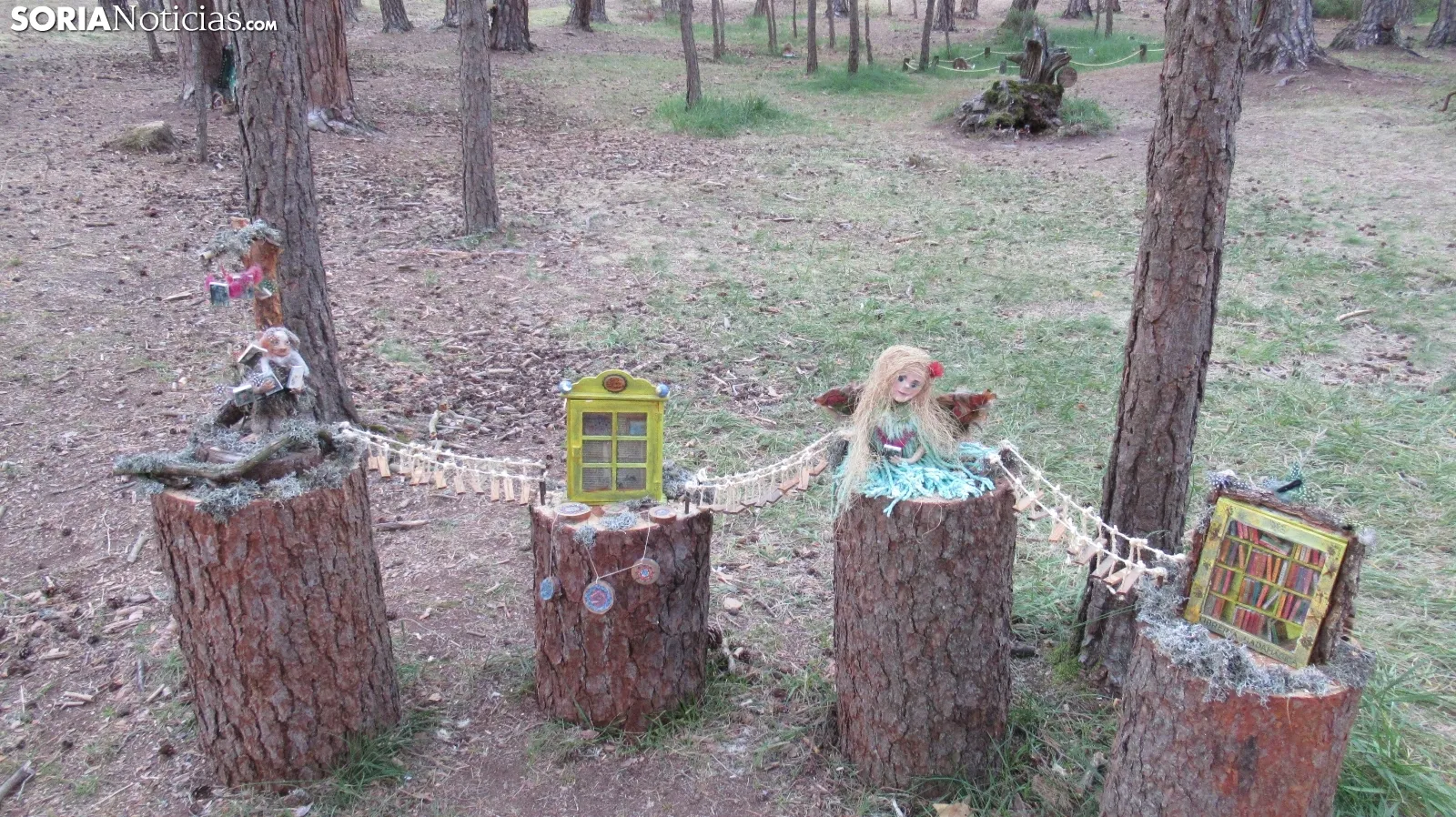 Bosque mágico de San Leonardo de Yagüe. A.G.