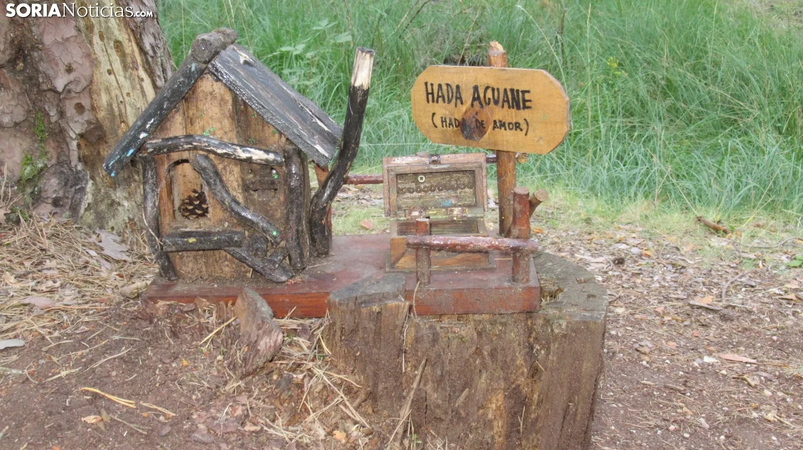 Bosque mágico de San Leonardo de Yagüe. A.G.