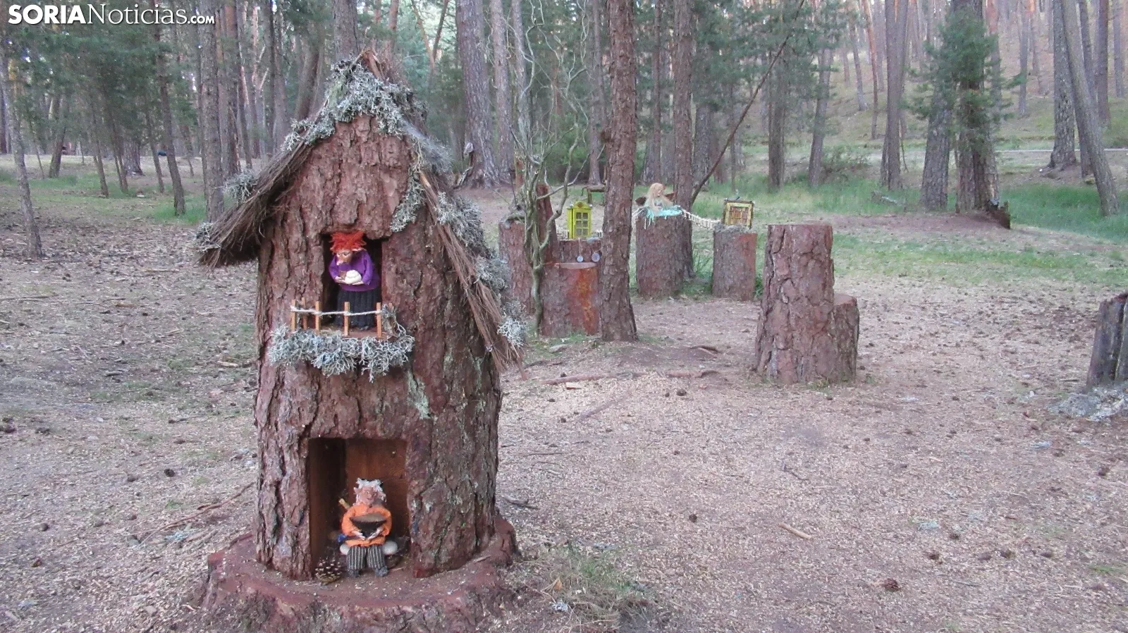 Bosque mágico de San Leonardo de Yagüe. A.G.