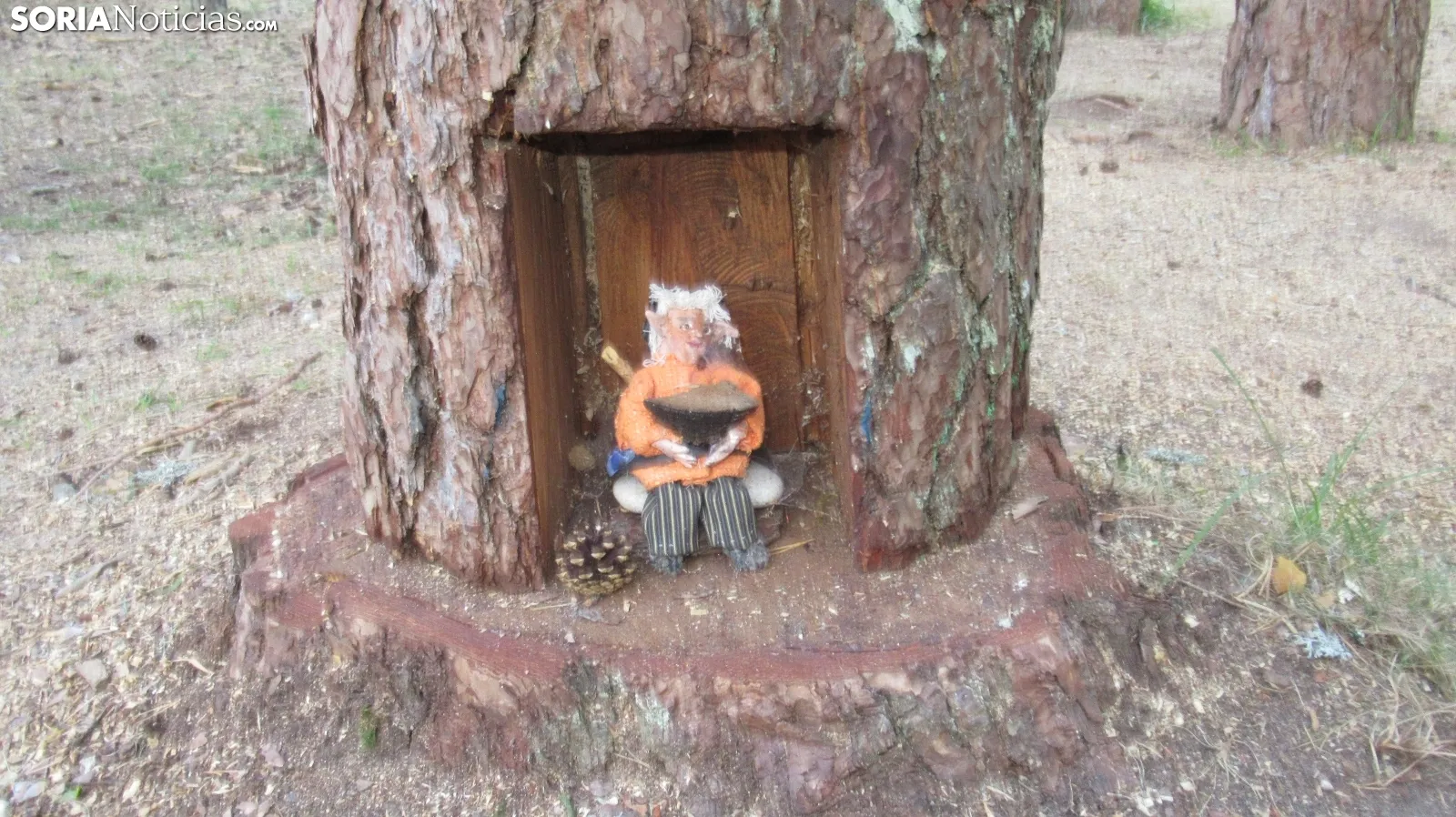 Bosque mágico de San Leonardo de Yagüe. A.G.