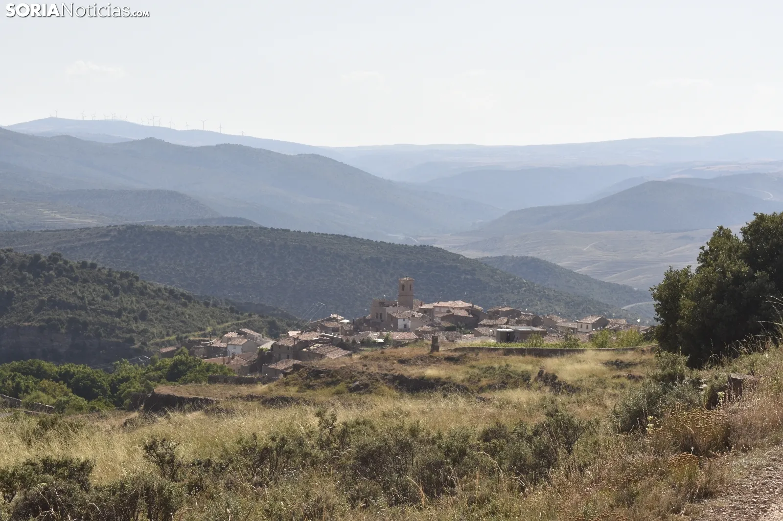 Campos de lavanda en San Felices