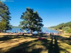 Foto 5 - Fotos: Un d&iacute;a en el Pantano en el verano del coronavirus