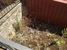 Una de las imágenes captadas por Soria Patrimonio. 