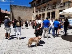 Manifestación en Duruelo