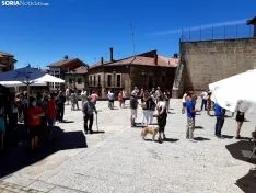 Manifestación en Duruelo