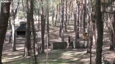 Bosque mágico de San Leonardo de Yagüe. A.G.
