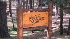 Bosque mágico de San Leonardo de Yagüe. A.G.