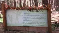 Bosque mágico de San Leonardo de Yagüe. A.G.